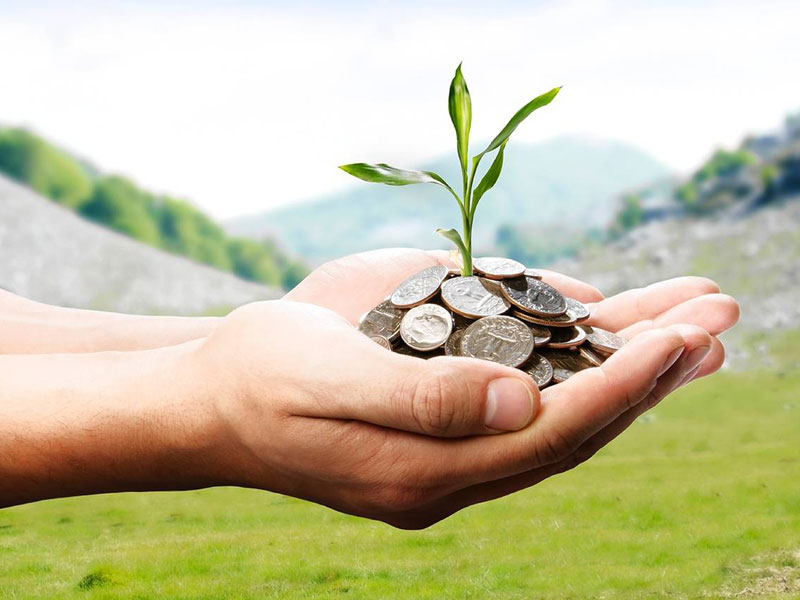 Sedekah Investasi Akhirat yang Tidak Pernah Rugi